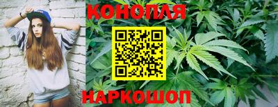 прущие грибы Первоуральск