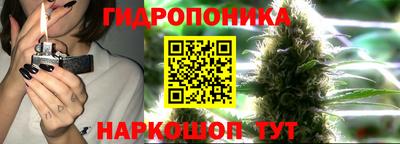 apvp Партизанск