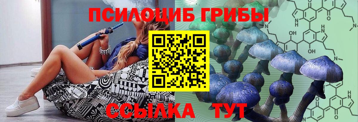 Рязань  Галлюциногенные грибы GOLDEN TEACHER  Вход с VPN 