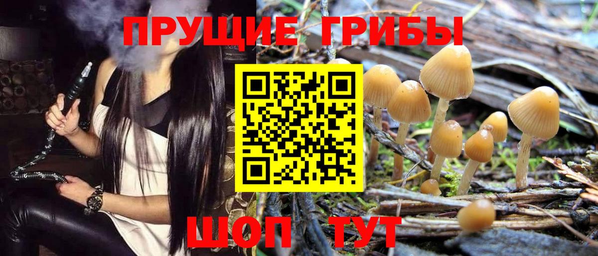 Псилоцибиновые грибы GOLDEN TEACHER Рязань
